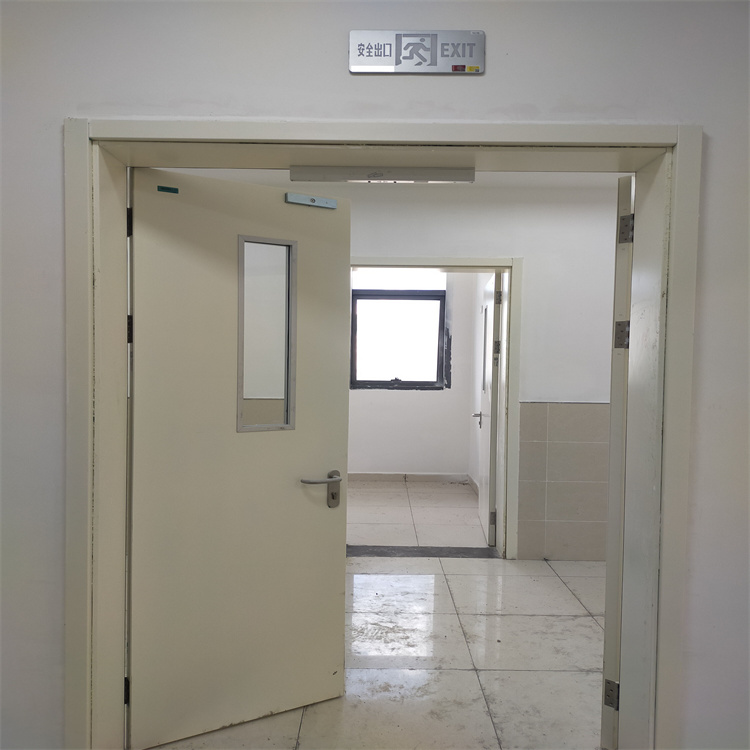 赤峰双扇电动防护铅门